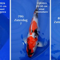 Belangrijk bericht: afbeelding 2