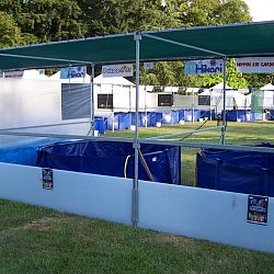 Belgian Koi Show: afbeelding 5