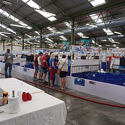 Belgische Koishow dag 1: afbeelding 5