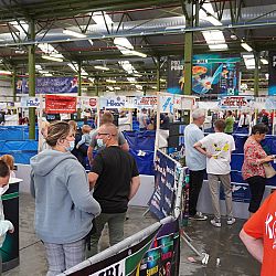 Belgische Koishow - dag 2: afbeelding 2