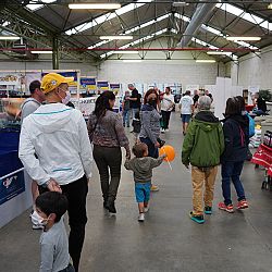 Belgische Koishow - dag 2: afbeelding 4