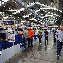 Belgische Koishow - dag 2: afbeelding 7