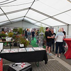 Belgische Koishow - dag 2: afbeelding 10