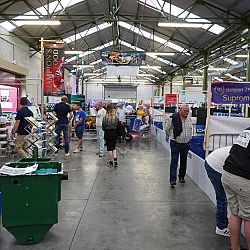 Belgische Koishow - dag 2: afbeelding 12