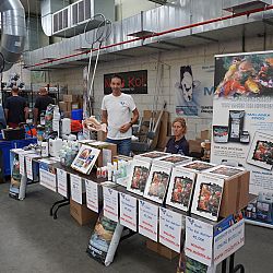 Belgische Koishow - dag 2: afbeelding 18