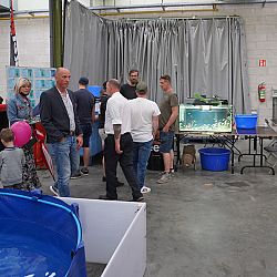 Belgische Koishow - dag 2: afbeelding 21