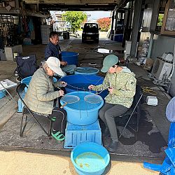 Bezoek aan Ogata en Okawa: afbeelding 4