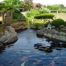 Blast from the past: afbeelding 1