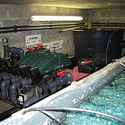 Blast from the past: afbeelding 3