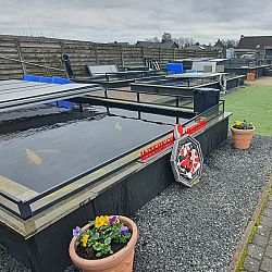 Blauw-geel: afbeelding 2