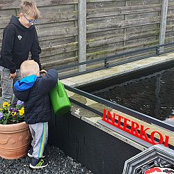Blauw-geel: afbeelding 3