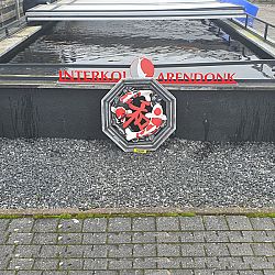 Blauw-geel: afbeelding 4