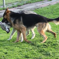 Bob 11 maanden: afbeelding 6