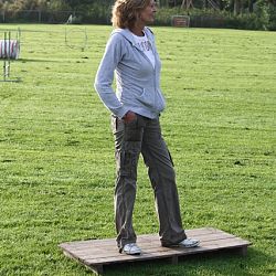 Bob 11 maanden: afbeelding 7