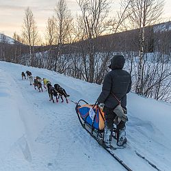Bob in Kiruna, Zweden: afbeelding 2