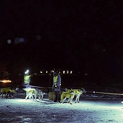 Bob in Kiruna, Zweden: afbeelding 3