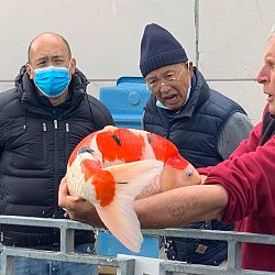 Bowldag voor nieuwe klanten: afbeelding 2