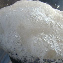 Clarity Proteine Skimmer: afbeelding 1