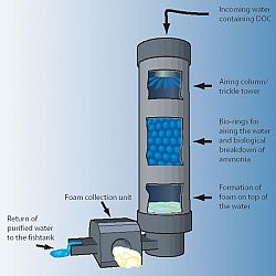 Clarity Proteine Skimmer: afbeelding 3