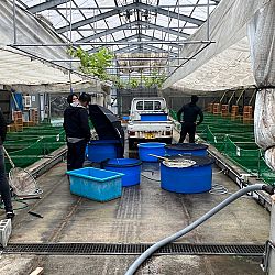 Dag 1 Japan - 3 april: afbeelding 2