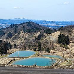 Dag 2 van onze zoektocht naar koi in Japan: afbeelding 2