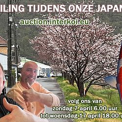 Dag 3 Japan: afbeelding 12