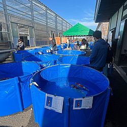 Dag 3 Japan: afbeelding 6