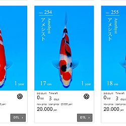 Dag 7 Japan: afbeelding 4