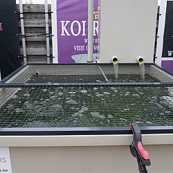 Dagen die indruk nalaten: afbeelding 2