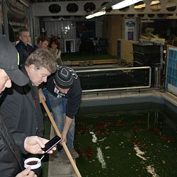 Dagen die je voldoening geven: afbeelding 12