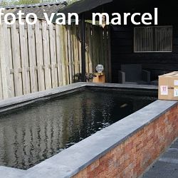 Dagen om niet te vergeten: afbeelding 17