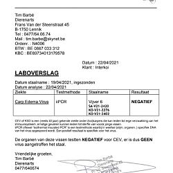 Dankbaar werk is nu gedaan: afbeelding 2