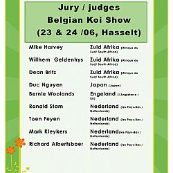 De Belgische Koishow: afbeelding 1