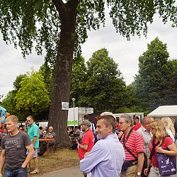 De Belgische koishow 2017 is geweest: afbeelding 8