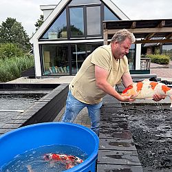 De bezige bij: afbeelding 4