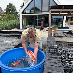 De bezige bij: afbeelding 5
