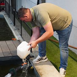 De BKS dag - de finale: afbeelding 1