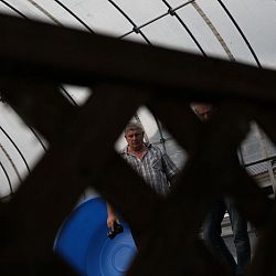 De dag van de waarheid: afbeelding 12