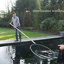 De dag van Stephan en Joyce: afbeelding 5