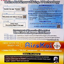 De eerste airskoi world koi show: afbeelding 1