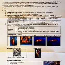 De eerste airskoi world koi show: afbeelding 2