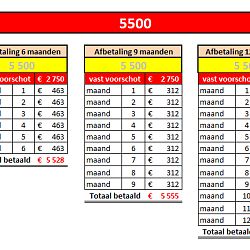 De eersten gaan al naar huis: afbeelding 5