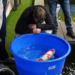 De foto zegt alles: afbeelding 2