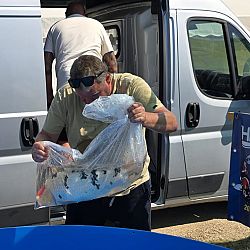 De koishow staat voor de deur. De eerste indruk: afbeelding 15