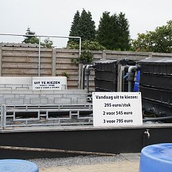 De laatste sortering dit jaar: afbeelding 6