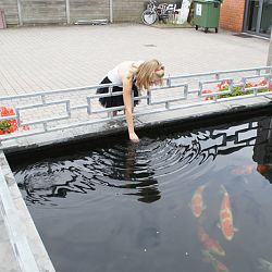 De laatste sortering dit jaar: afbeelding 8