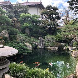 De magie van Japan: afbeelding 12
