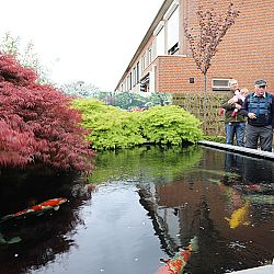 De ophaaldag van de ogon: afbeelding 2