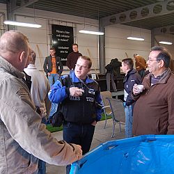 De oudst levende bekende koi boven water: afbeelding 7