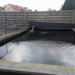 De overkappingen zijn eraf: afbeelding 3